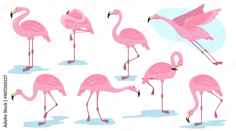 Naklejka premium Pink flamingo bird in different poses flat set for web design