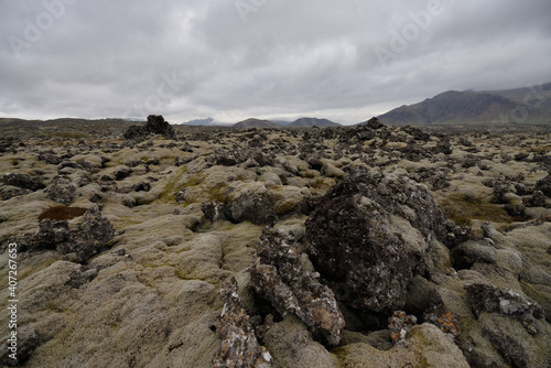Rocky meadow on lava field in Iceland