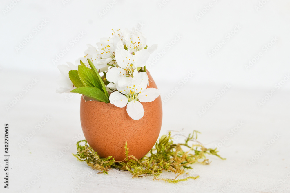 Bunch of white flowers in egg shells isolated on white background. Easter decoration with flowers in egg shells. Copy space