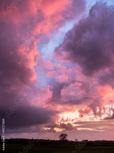 nuages roses - 