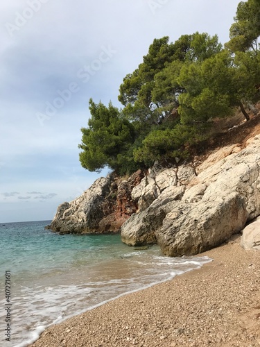 Pines on the rock. Beach and sea