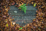 Love or heart shape with space for text, space for copy, made of natural elements - dry leaves and fern leaf on an old, dark and rusty wooden plank