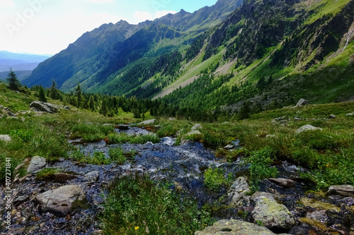 cold clear water on a mountain through a green meadow with stones