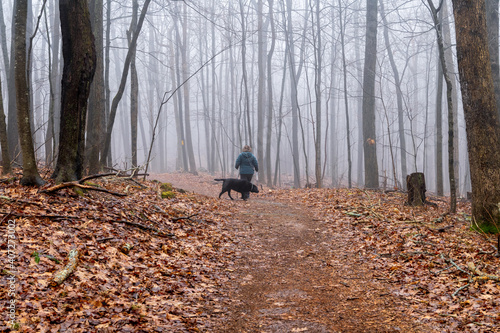 A photo of a woman with her back to us and her black Labrador retriever walking down a path in the middle of the forest on a foggy and misty morning