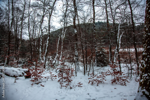 Winterwanderung am Gelterswoog, im Schnee, Kaiserslautern, Hohenecken, Strandbad, Wald , Naherholungsgebiet photo