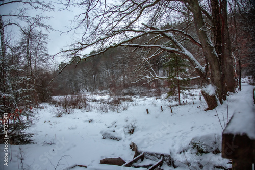 Winterwanderung am Gelterswoog, im Schnee, Kaiserslautern, Hohenecken, Strandbad, Wald , Naherholungsgebiet photo