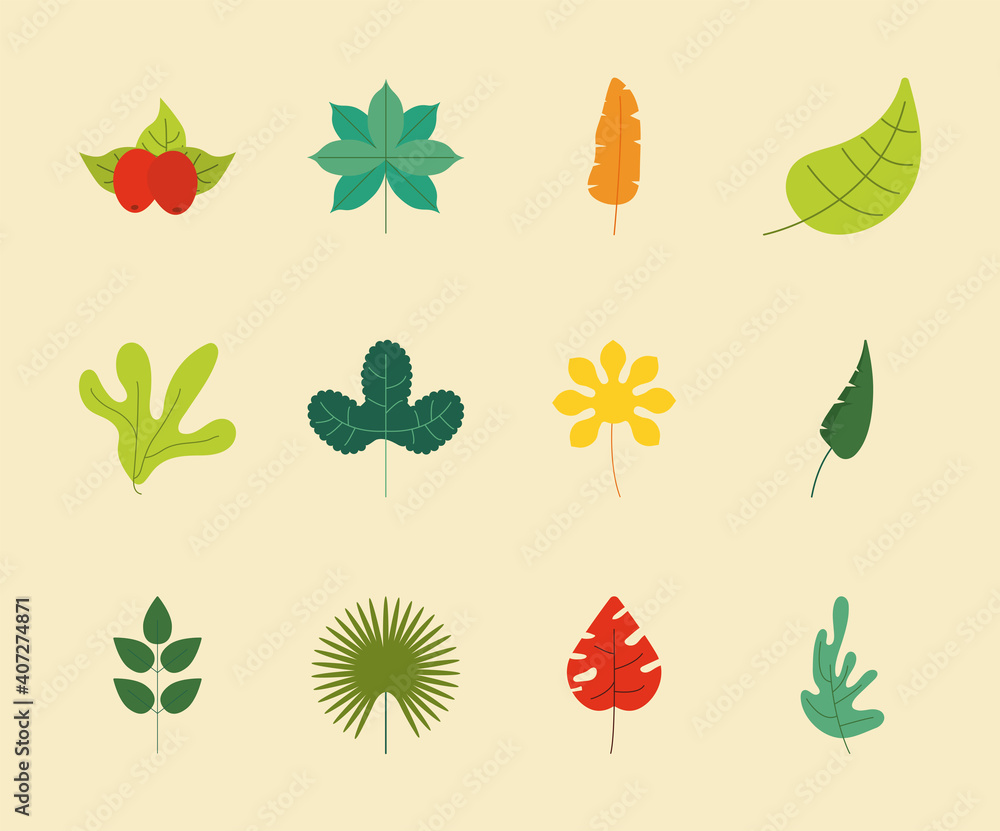 bundle of twelve colors leaves nature icons bundle of twelve colors leaves nature icons