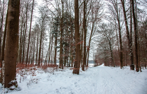 Winterwanderung am Gelterswoog, im Schnee, Kaiserslautern, Hohenecken, Strandbad, Wald , Naherholungsgebiet