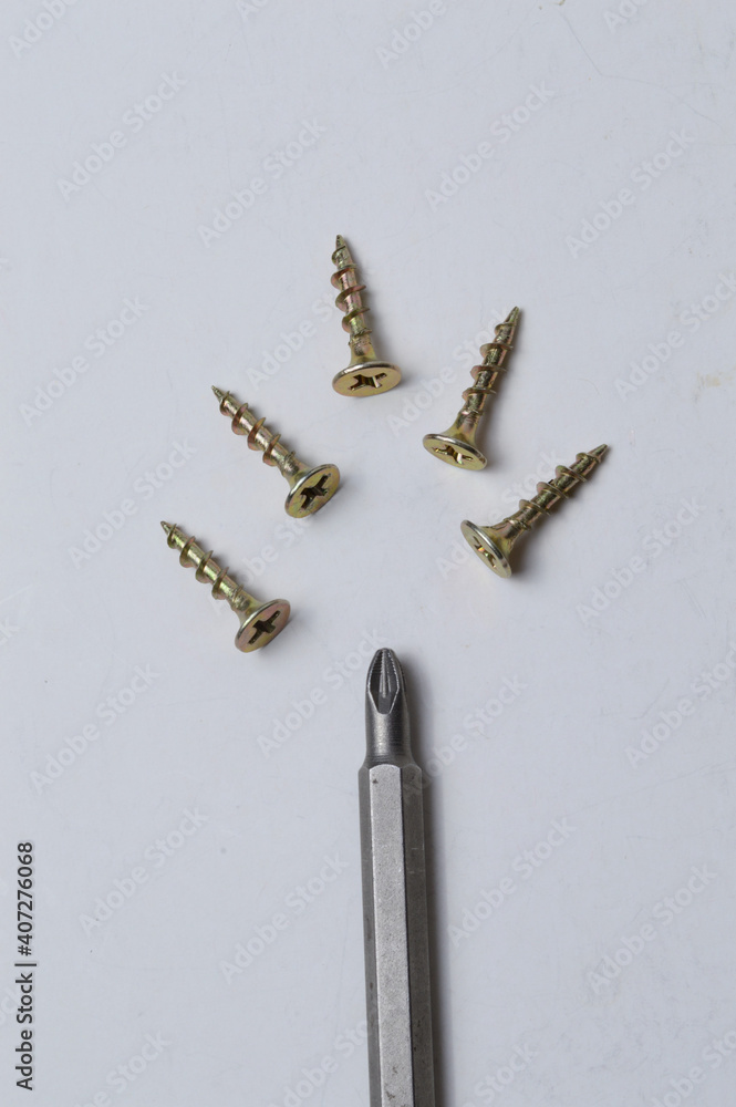 several screws and a bit from a screwdriver lie on a light background. close-up. several screws and a bit from a screwdriver lie on a light background. close-up.