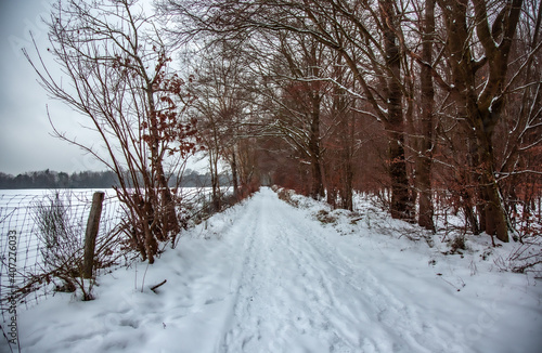 Wallpaper Mural Winterwanderung am Gelterswoog, im Schnee, Kaiserslautern, Hohenecken, Strandbad, Wald , Naherholungsgebiet Torontodigital.ca
