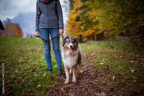 Owner with his australian sheperd on the leash.
