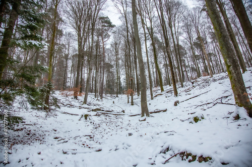 Winterwanderung am Gelterswoog, im Schnee, Kaiserslautern, Hohenecken, Strandbad, Wald , Naherholungsgebiet photo