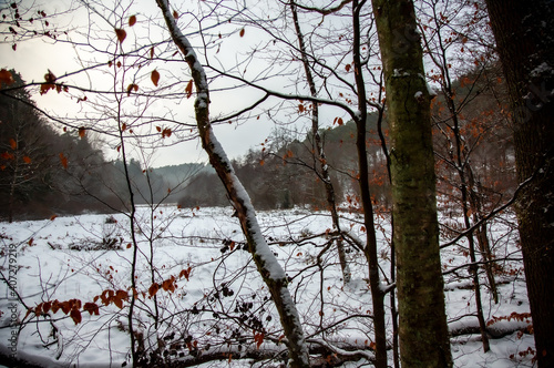 Winterwanderung am Gelterswoog, im Schnee, Kaiserslautern, Hohenecken, Strandbad, Wald , Naherholungsgebiet © Ursula Engelmann