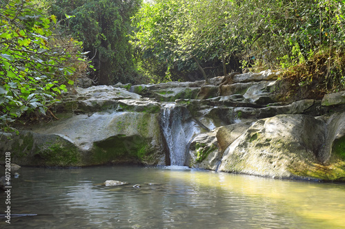 Nahal HaShofet - river flows through of HaZorea Forest  Ramat Menashe Biosphere Reserve  located near Mount Carmel  Israel