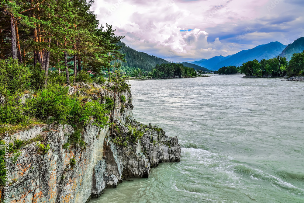 Amazing summer landscape on rocky bank of fast mountain river Katun, Altai mountains, Russia. Slopes of mountains with deep forest covered, pine trees on cliffs at foreground. Beauty and strength