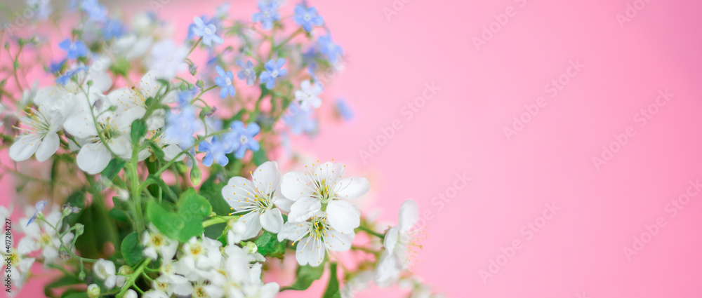 Floral spring background. White and blue flowers on a pastel pink background. Top view, copy space.