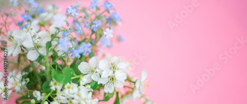 Fototapeta Naklejka Na Ścianę i Meble -  Floral spring background. White and blue flowers on a pastel pink background. Top view, copy space.