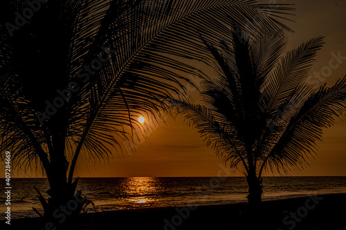 Siluetas de palmeras frente al mar en el atardecer 