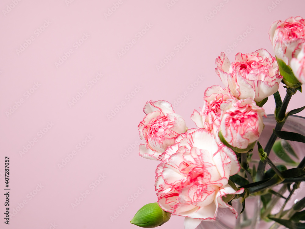 Mini carnation flowers in a vase on pink background