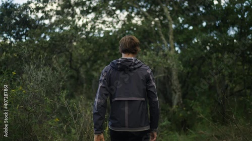 Wallpaper Mural caminando en el bosque Torontodigital.ca