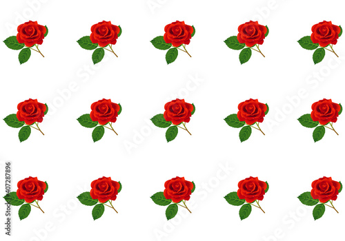 Fondo de rosas rojas alineadas sobre fondo blanco
