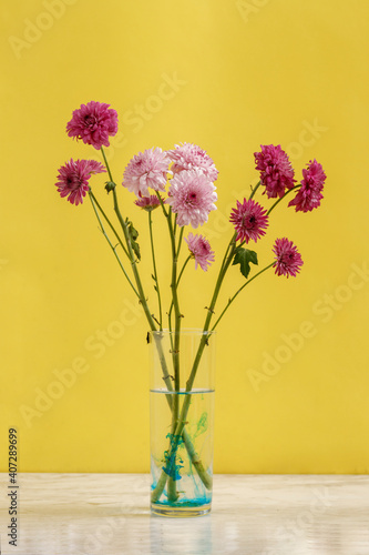 Wallpaper Mural Flores de color morado y lila dentro de un vaso con agua de color azul. Concepto decoración de interiores minimalista Torontodigital.ca