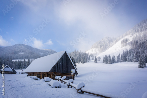 Fototapeta Naklejka Na Ścianę i Meble -  Mountain valley in winter. Chochołowska Valley, Tatra Mountains, Poland