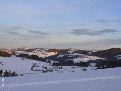 Schneelandschaft