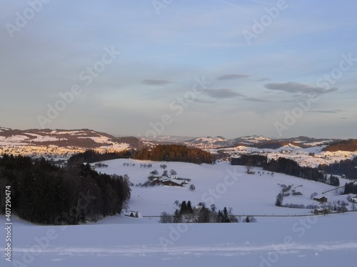 Schneelandschaft