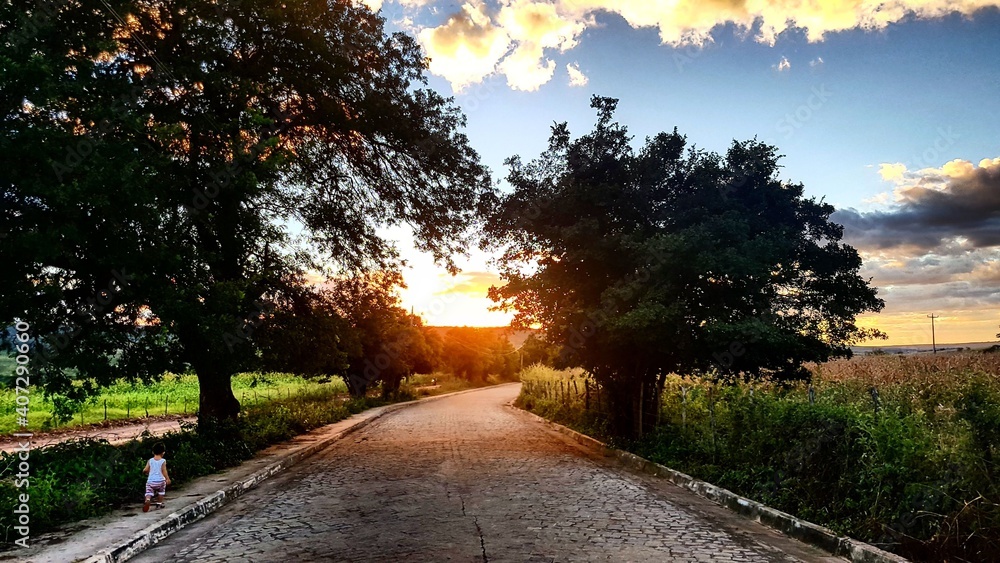 Fototapeta premium sunset in the park