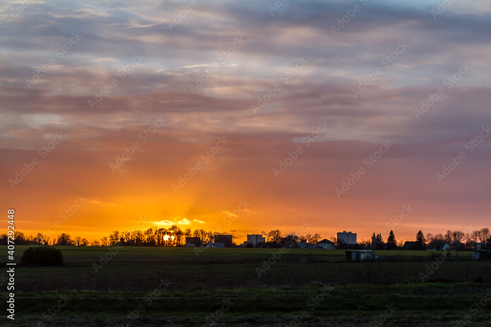 sunset over the field