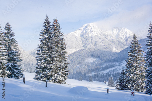 Mountain valley in winter. Chocho  owska Valley  Tatra Mountains  Poland