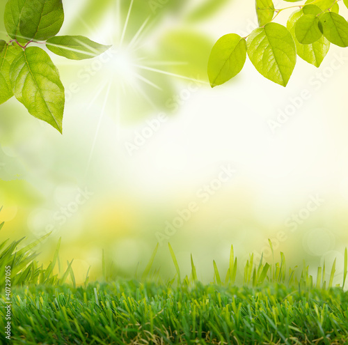 Summer and spring in the forest, abstract natural backgrounds with fresh foliage and bokeh in green grass land.