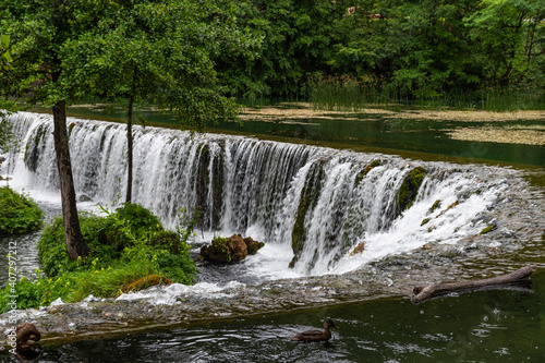 waterfall in the forest