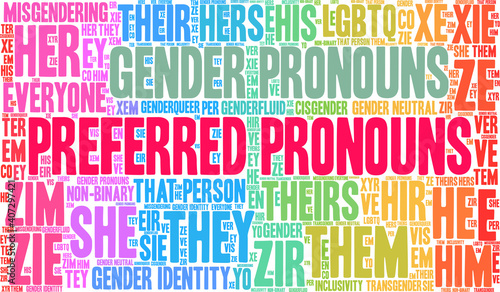 Preferred Pronouns on a white background. photo