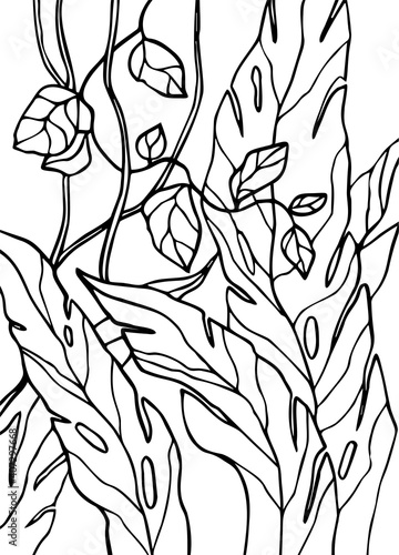 vector ilustration coloring page with tropical plants