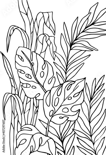 vector ilustration coloring page with tropical plants