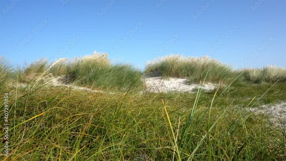 Ostsee Urlaub - Strand mit Dünen im Sommer Ostsee Urlaub - Strand mit Dünen im Sommer
