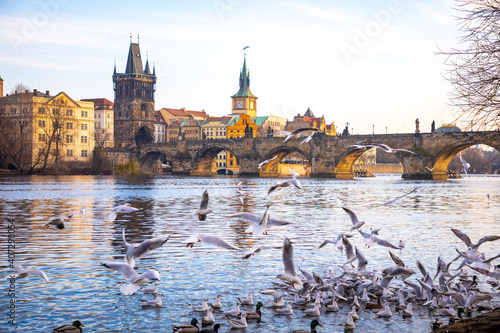 Seagulls in flight against the background of the sights of the old city, Charles Bridge and view to Vltava River, Prague Castle in Prague, Czech Republic