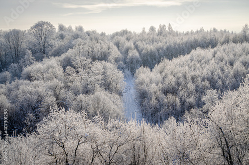 Winter road surrounded by a snowy winter forest in the Moscow region. The nature of Russia.