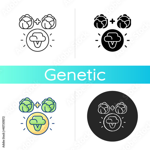 Selective breeding icon. Genetic engineering. Food modification. Agricultural production. Vegetable cultivation. Artificial selection. Linear black and RGB color styles. Isolated vector illustrations
