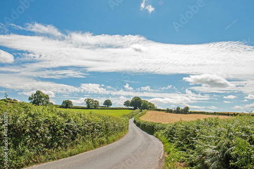 Country lane near the border of England and Wales in the summertime.