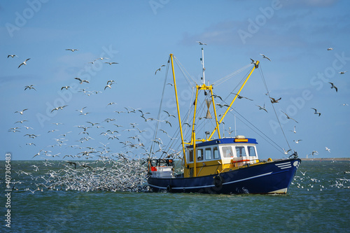 Fishing boat surrounded by black-headed gulls