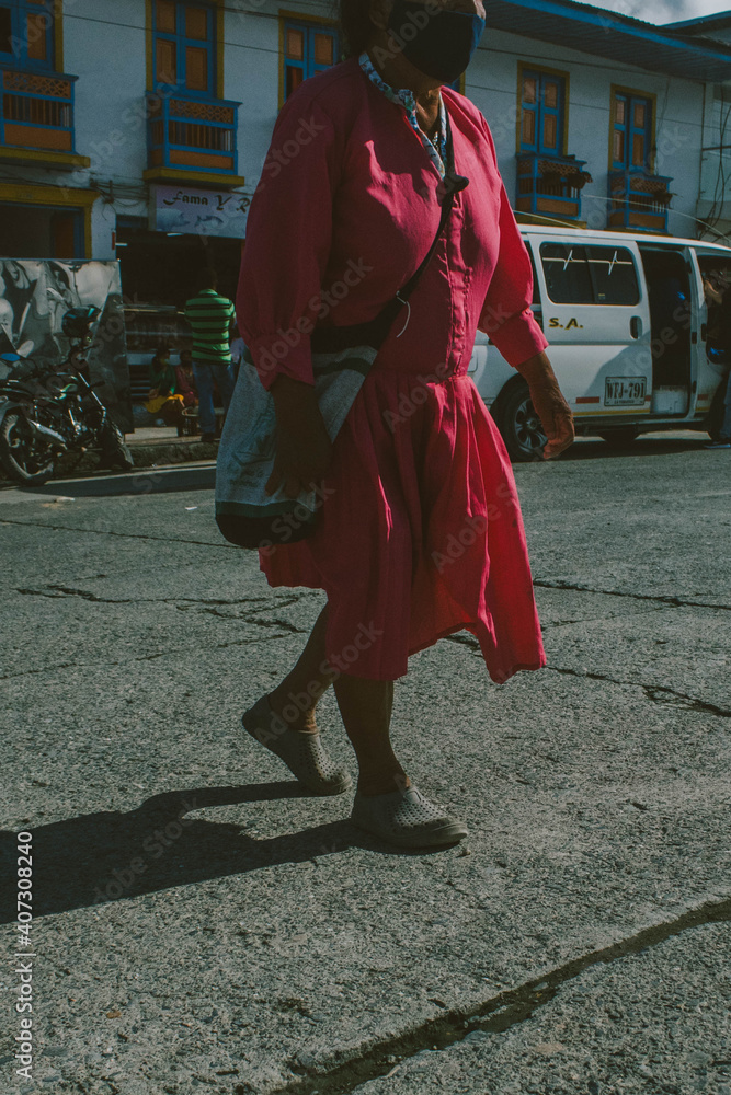 Fototapeta premium mujer caminando por el parque