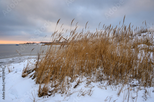 Wallpaper Mural Snowy dunes, winter landscape at Jastarnia beach. Hel Peninsula. Baltic Sea. Poland Torontodigital.ca