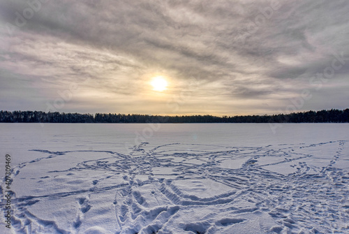 Frozen lake with sun and trees © Priit