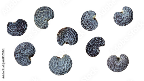 poppy seeds are isolated on a white background. Close-up