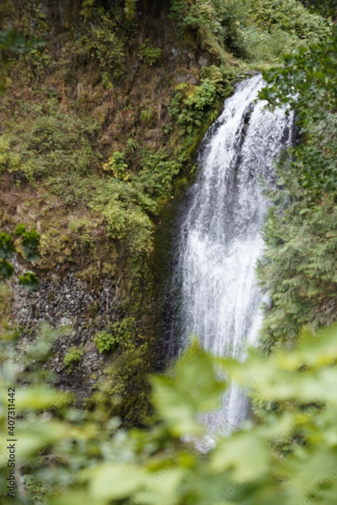 Obraz premium waterfall in the forest, close shot 