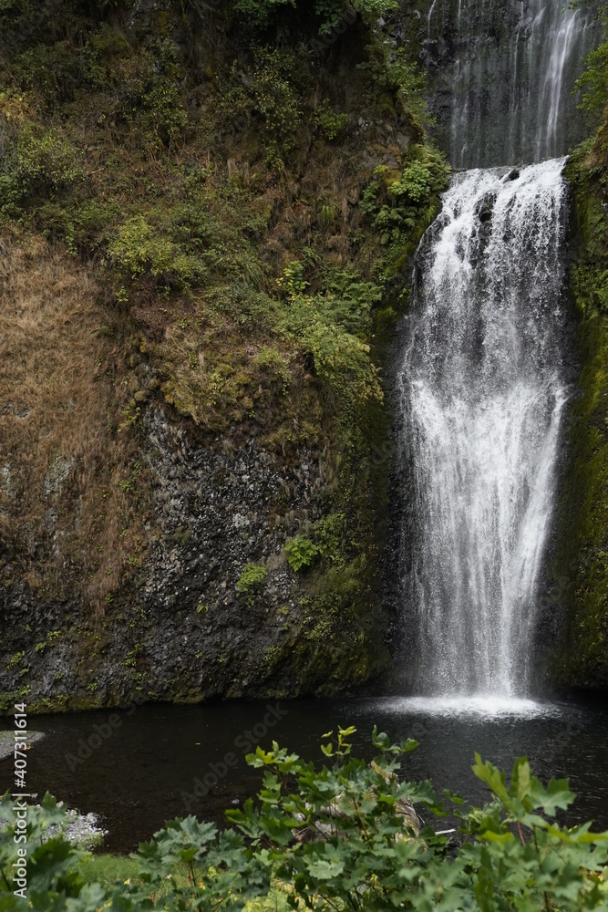 Obraz premium waterfall in the forest