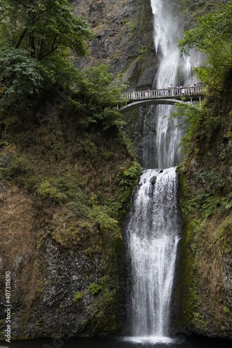 waterfall in the forest